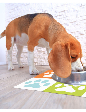 Alfombra vinílica Mascota Multicolor