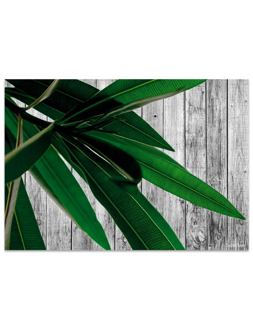 Salvamantel vinílico Palma